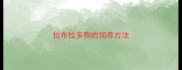 拉布拉多狗的饲养方法