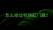 怎么给边牧挤肛门腺