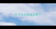 打了狂犬疫苗后脖子