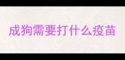 成狗需要打什么疫苗