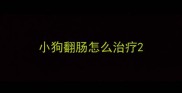 小狗翻肠怎么治疗