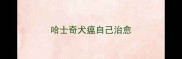哈士奇犬瘟自己治愈