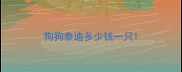 狗狗泰迪多少钱一只