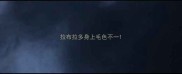 拉布拉多身上毛色不一