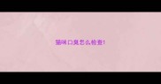 猫咪口臭怎么检查