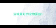 运城最好的宠物医院