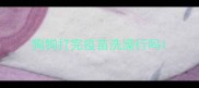 狗狗打完疫苗洗澡行吗