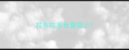 拉布拉多食量变小