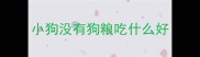 小狗没有狗粮吃什么好