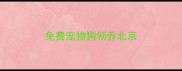 免费宠物狗领养北京