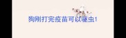 狗刚打完疫苗可以驱虫