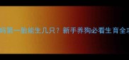 边牧妈妈第一胎能生几只新手养狗必看生育全攻略