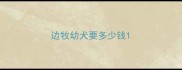 边牧幼犬要多少钱