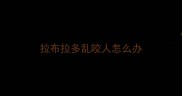 拉布拉多乱咬人怎么办