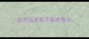 拉布拉多能不能吃骨头