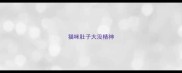猫咪肚子大没精神