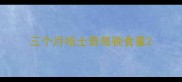 三个月哈士奇每顿食量