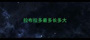 拉布拉多最多长多大