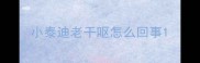 小泰迪老干呕怎么回事