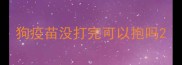 狗疫苗没打完可以抱吗