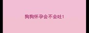 狗狗怀孕会不会吐