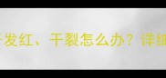三个月大的比熊犬鼻子发红干裂怎么办详细护理指南及疾病预防