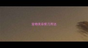 宠物美容剪刀用法