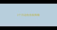 3个月边牧自制狗粮