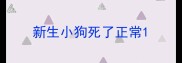 新生小狗死了正常