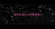 边牧毛发什么时候长长