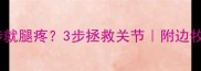 救命边牧一跑步就腿疼3步拯救关节附边牧跑步损伤全攻略