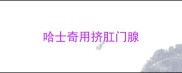 哈士奇用挤肛门腺