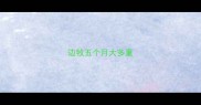 边牧五个月大多重