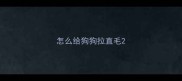 怎么给狗狗拉直毛