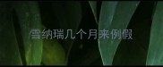雪纳瑞几个月来例假