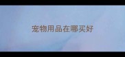 宠物用品在哪买好