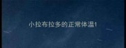 小拉布拉多的正常体温