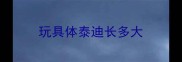 玩具体泰迪长多大