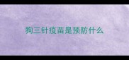 狗三针疫苗是预防什么