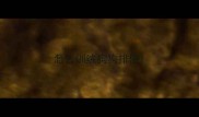 怎么训练狗狗排便