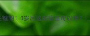 萨摩耶疫苗关键期3岁后这些疫苗可以停科学养宠指南
