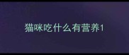 猫咪吃什么有营养