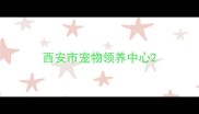 西安市宠物领养中心