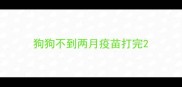 狗狗不到两月疫苗打完