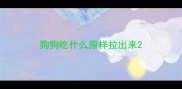 狗狗吃什么原样拉出来