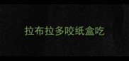 拉布拉多咬纸盒吃