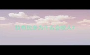 拉布拉多为什么会咬人