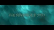 泰迪狗狗剃胎毛多少钱