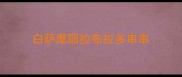 白萨摩耶拉布拉多串串