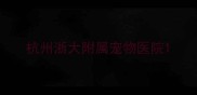 杭州浙大附属宠物医院